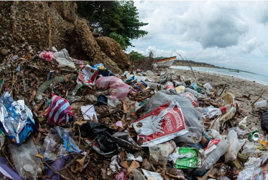 Poluição de manguezais em Santa Marta, Colômbia. Foto: Martín Katz / Greenpeace